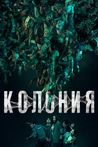  Колония 